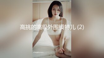 高挑的高级外围模特儿 (2)