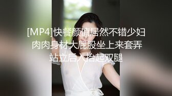 [MP4]快餐颜值居然不错少妇 肉肉身材大屁股坐上来套弄站立后入抬起双腿