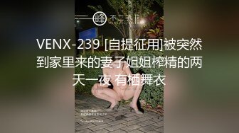 VENX-239 [自提征用]被突然到家里来的妻子姐姐榨精的两天一夜 有栖舞衣