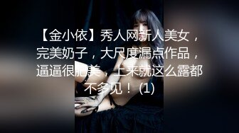 【金小依】秀人网新人美女，完美奶子，大尺度漏点作品，逼逼很肥美，上来就这么露都不多见！ (1)