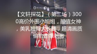 【文轩探花】（第二场）3000高价外围小姐姐，颜值女神，美乳翘臀大长腿，超清画质偷拍劲爆刺激