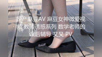 国产麻豆AV 麻豆女神微爱视频 教师诱惑系列 数学老师的课后辅导 又又 PV