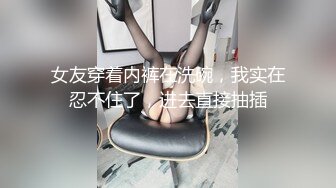 女友穿着内裤在洗碗，我实在忍不住了，进去直接抽插