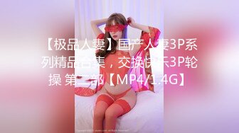 【极品人妻】国产人妻3P系列精品合集，交换快乐3P轮操 第二部【MP4/1.4G】