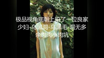 极品视角底朝上拍了一位良家少妇-乌黑洞-乌黑毛-洞无多余肉肉小肉坑