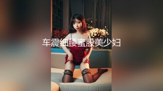 车震细腰蜜股美少妇