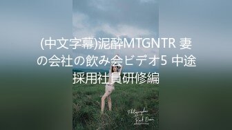 (中文字幕)泥酔MTGNTR 妻の会社の飲み会ビデオ5 中途採用社員研修編