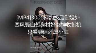 [MP4]3000网约极品御姐外围风骚白皙身材好女神收割机只看颜值还属小宝