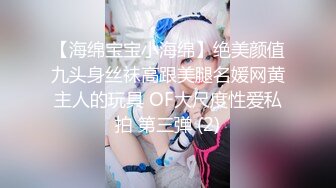 【海绵宝宝小海绵】绝美颜值九头身丝袜高跟美腿名媛网黄主人的玩具 OF大尺度性爱私拍 第三弹 (2)