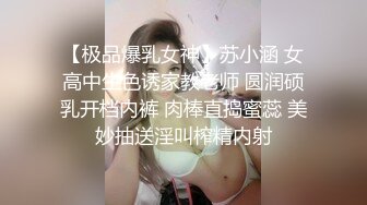 【伊玫瑰】高颜值河南小少妇，良家感十足，跟粉丝啪啪无套，自慰用黄瓜 (2)